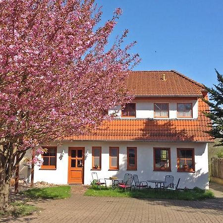 Landpension Zum Kleinen Urlaub Wredenhagen Habitación foto